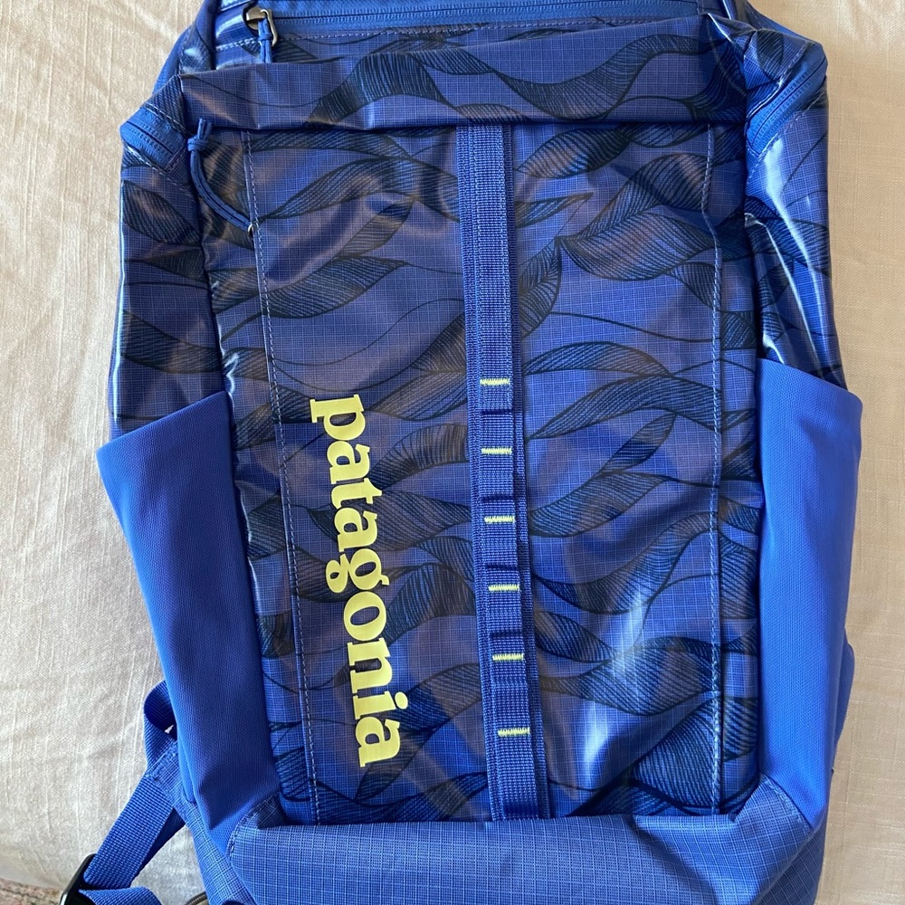 NWOT Patagonia Black Hole Pack 23L